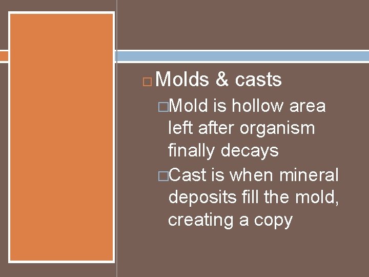  Molds & casts �Mold is hollow area left after organism finally decays �Cast