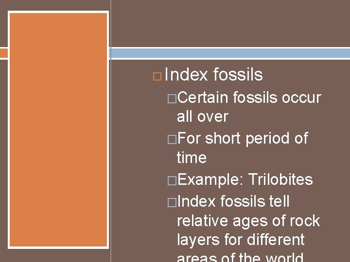  Index fossils �Certain fossils occur all over �For short period of time �Example: