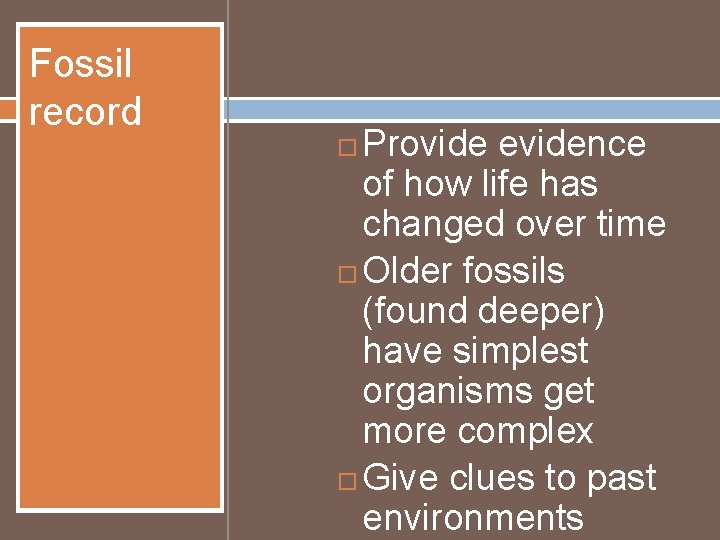 Fossil record Provide evidence of how life has changed over time Older fossils (found