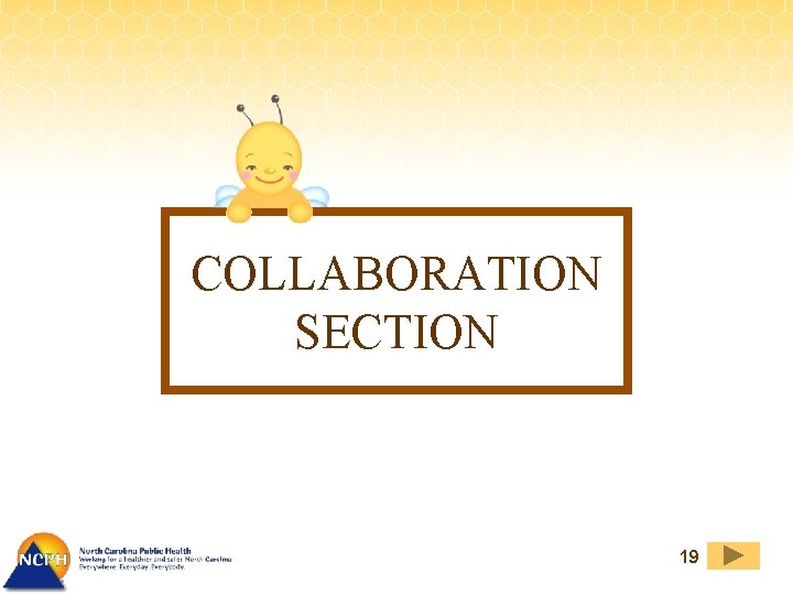 COLLABORATION SECTION 19 