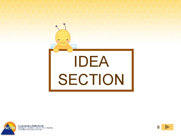 IDEA SECTION 6 