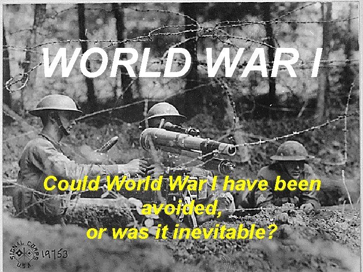 WORLD WAR I Could World War I have been avoided, or was it inevitable?