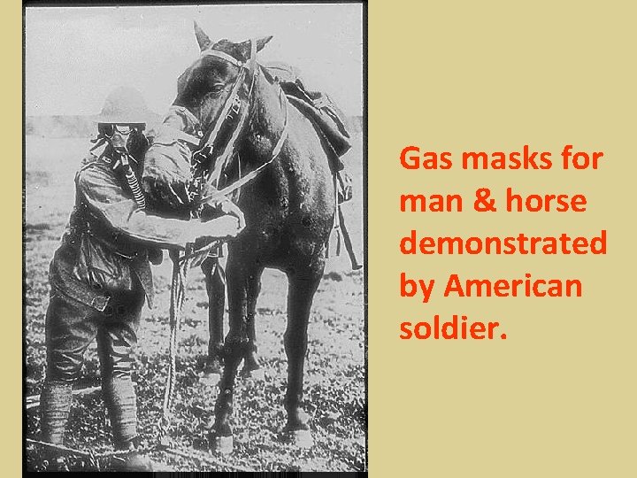 Gas masks for man & horse demonstrated by American soldier. 