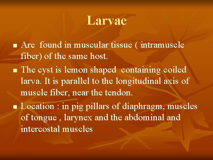 Larvae n n n Are found in muscular tissue ( intramuscle fiber) of the