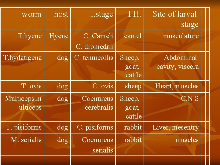 worm host I. stage I. H. Site of larval stage C. Cameli camel C.