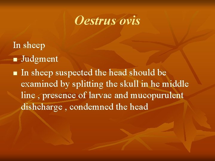 Oestrus ovis In sheep n Judgment n In sheep suspected the head should be