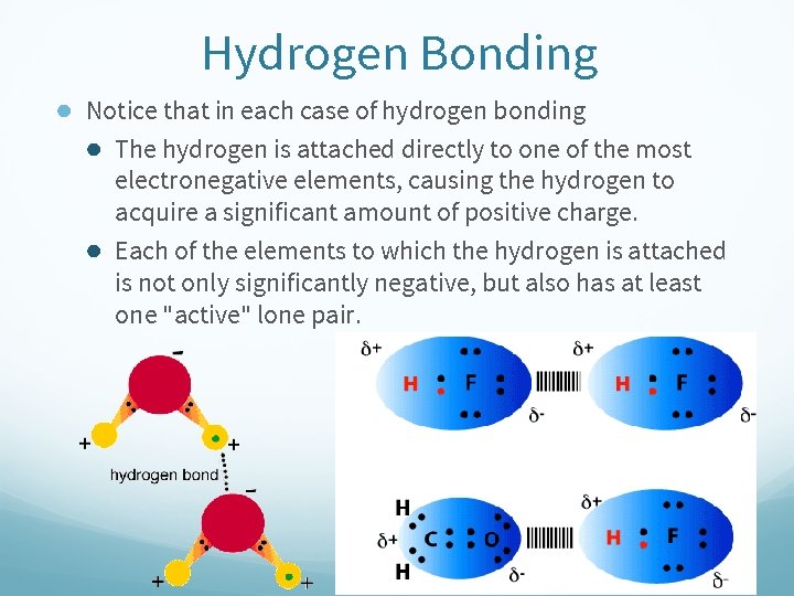 Hydrogen Bonding ● Notice that in each case of hydrogen bonding ● The hydrogen