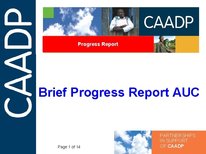 Progress Report Brief Progress Report AUC Page 1 of 14 PARTNERSHIPS IN SUPPORT OF