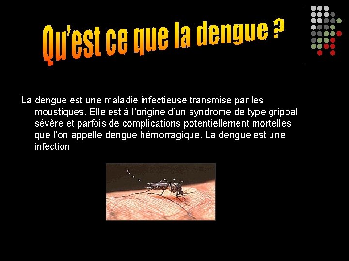 La dengue est une maladie infectieuse transmise par les moustiques. Elle est à l’origine