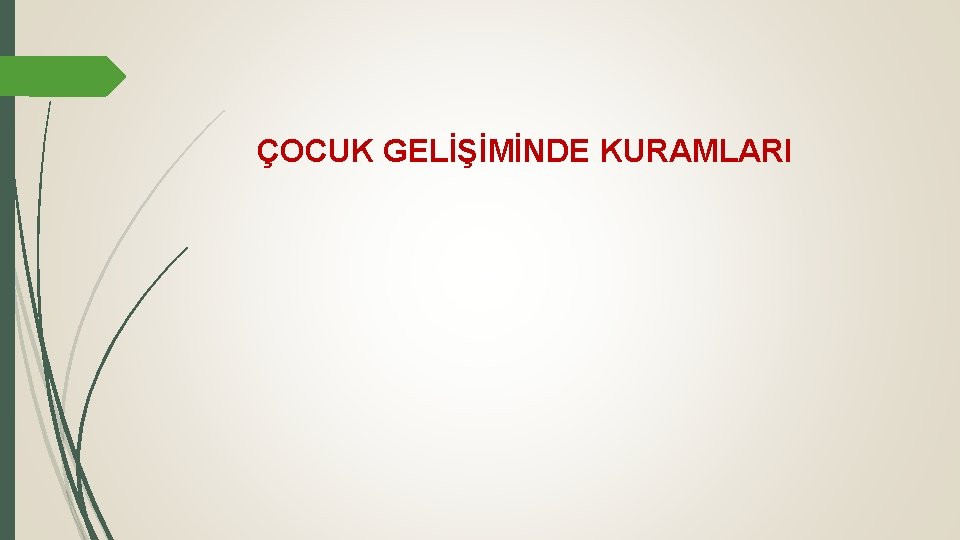 ÇOCUK GELİŞİMİNDE KURAMLARI 