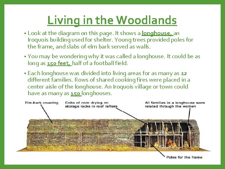 Living in the Woodlands • Look at the diagram on this page. It shows