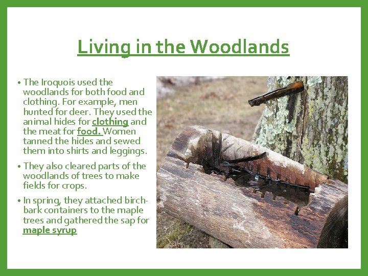 Living in the Woodlands • The Iroquois used the woodlands for both food and