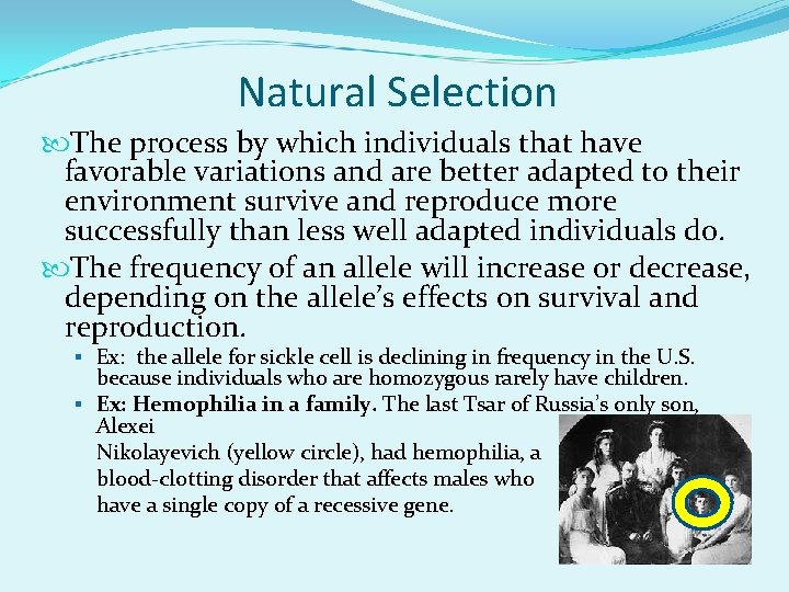 Natural Selection The process by which individuals that have favorable variations and are better