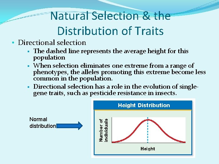 Natural Selection & the Distribution of Traits • Directional selection § § § The