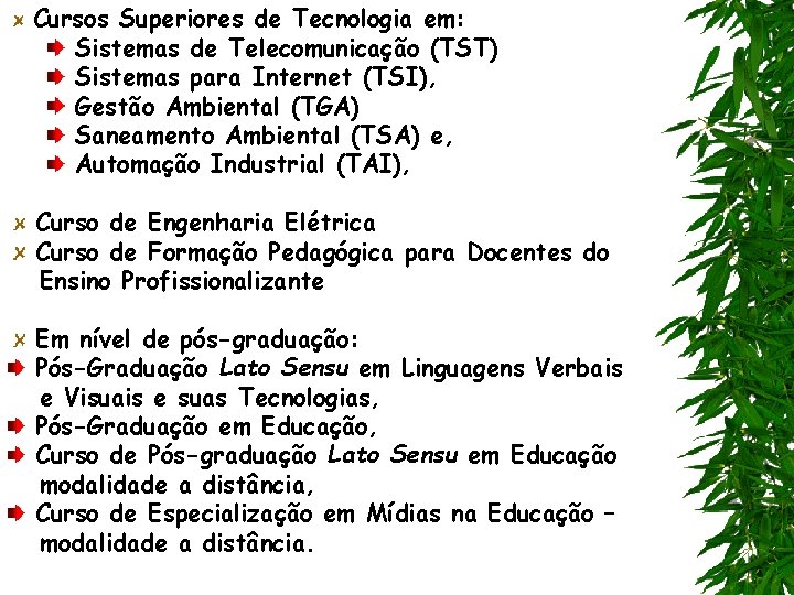 Cursos Superiores de Tecnologia em: Sistemas de Telecomunicação (TST) Sistemas para Internet (TSI), Gestão