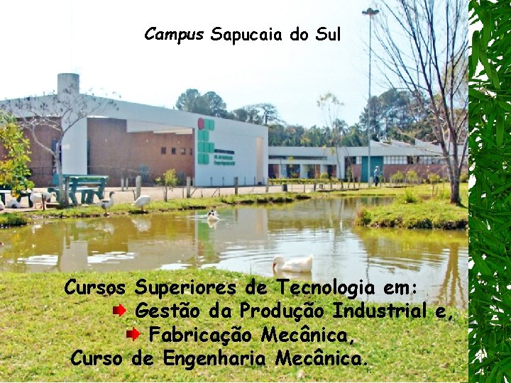 Campus Sapucaia do Sul Cursos Superiores de Tecnologia em: Gestão da Produção Industrial e,