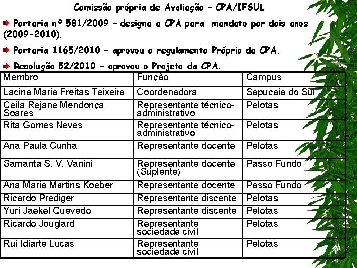 Comissão própria de Avaliação – CPA/IFSUL Portaria nº 581/2009 – designa a CPA para