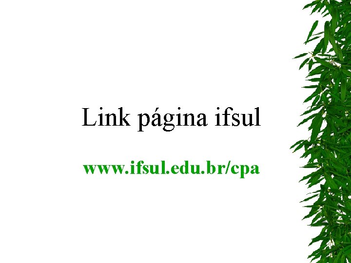 Link página ifsul www. ifsul. edu. br/cpa 