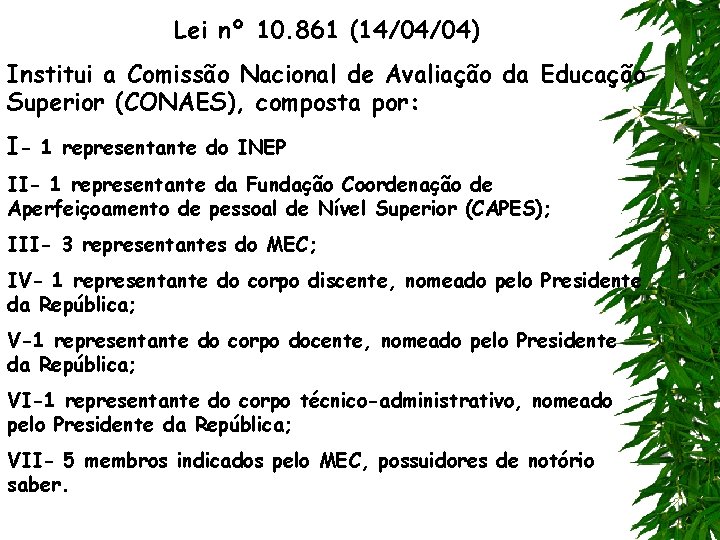 Lei nº 10. 861 (14/04/04) Institui a Comissão Nacional de Avaliação da Educação Superior