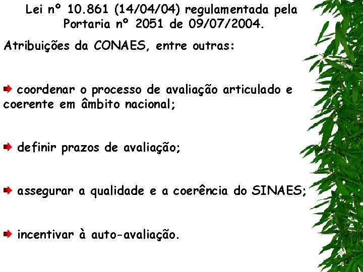 Lei nº 10. 861 (14/04/04) regulamentada pela Portaria nº 2051 de 09/07/2004. Atribuições da