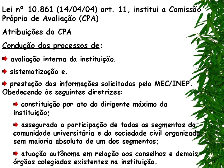 Lei nº 10. 861 (14/04/04) art. 11, institui a Comissão Própria de Avaliação (CPA)