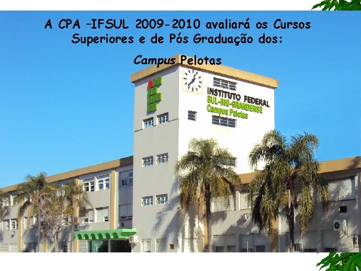 A CPA –IFSUL 2009 -2010 avaliará os Cursos Superiores e de Pós Graduação dos: