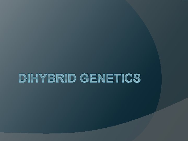 DIHYBRID GENETICS 