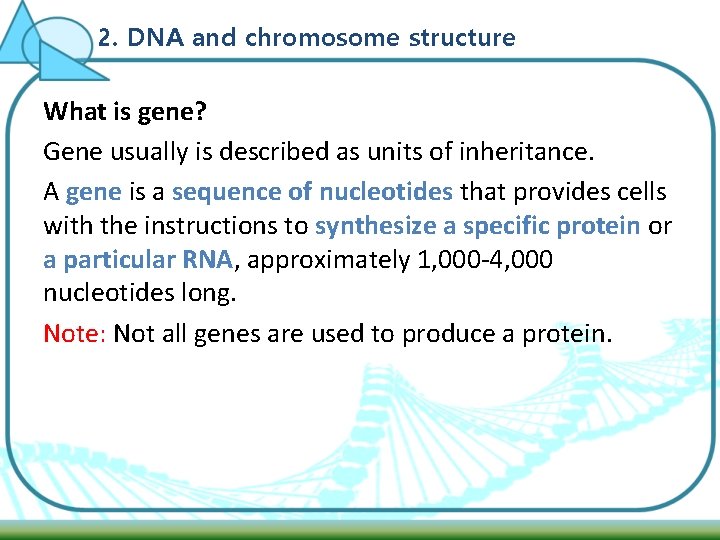 2. DNA and chromosome structure What is gene? Gene usually is described as units