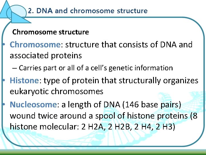 2. DNA and chromosome structure Chromosome structure • Chromosome: structure that consists of DNA