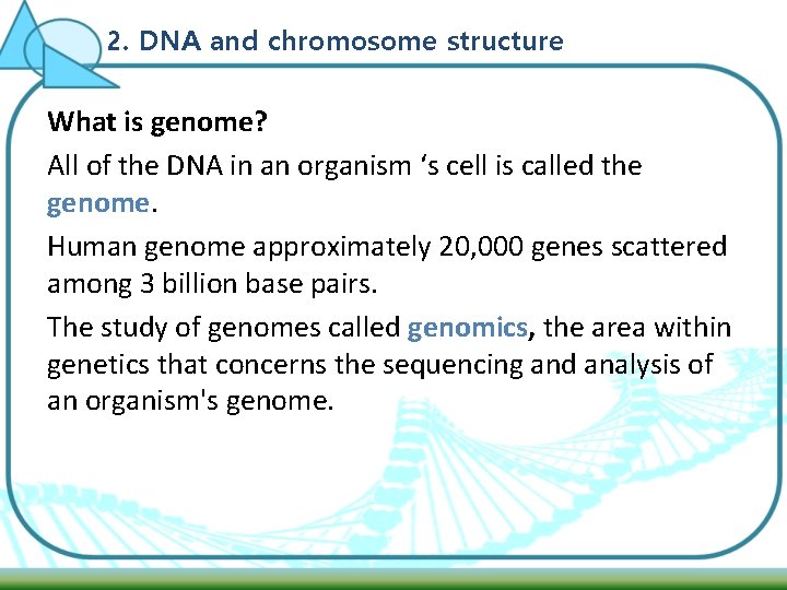 2. DNA and chromosome structure What is genome? All of the DNA in an