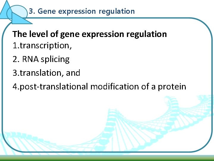 3. Gene expression regulation The level of gene expression regulation 1. transcription, 2. RNA