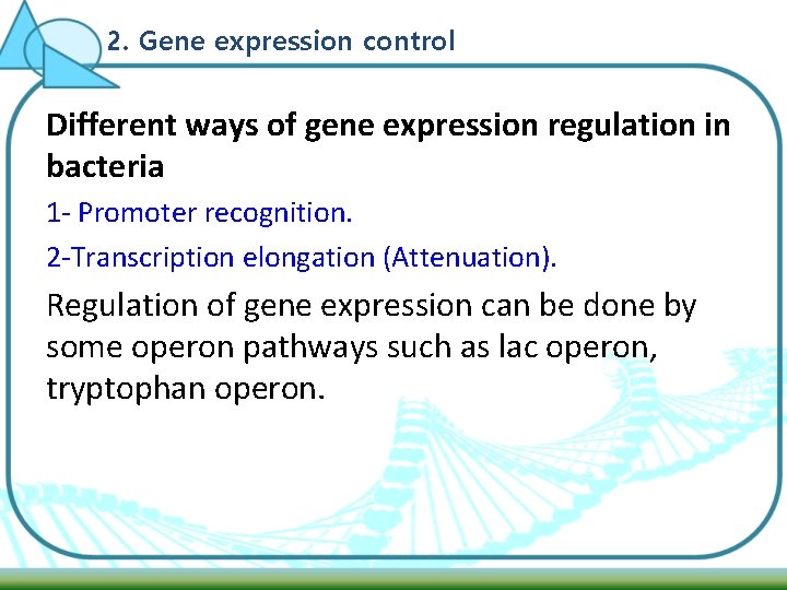 2. Gene expression control Different ways of gene expression regulation in bacteria 1 -