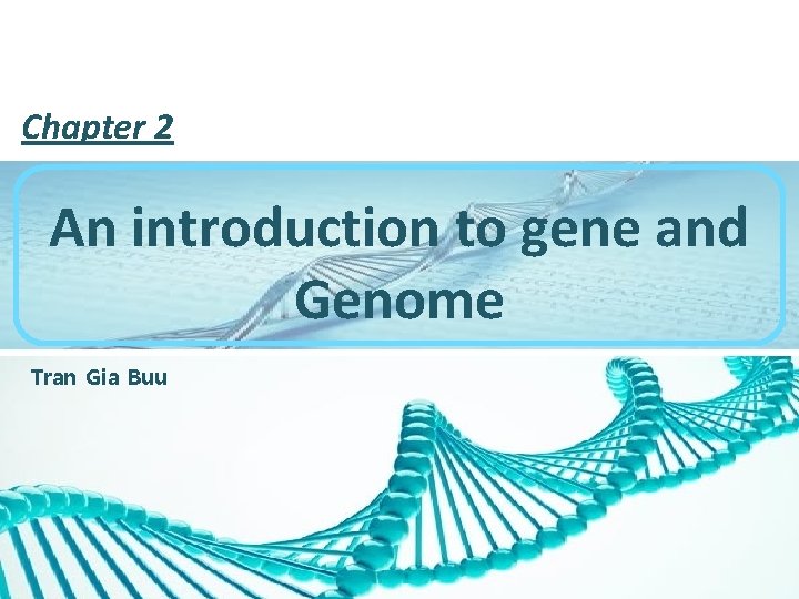 Chapter 2 An introduction to gene and Genome Tran Gia Buu 