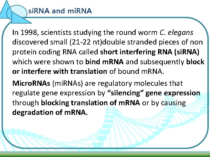 si. RNA and mi. RNA In 1998, scientists studying the round worm C. elegans