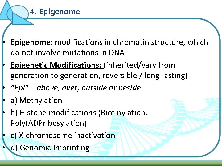 4. Epigenome • Epigenome: modifications in chromatin structure, which do not involve mutations in