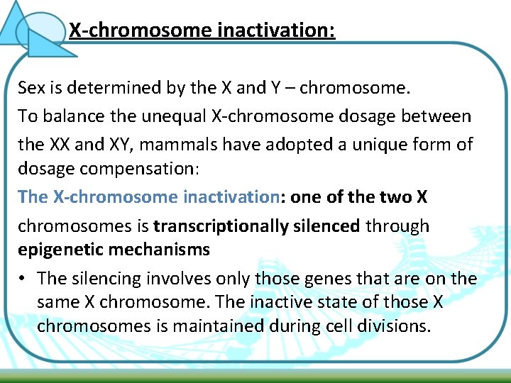 X-chromosome inactivation: Sex is determined by the X and Y – chromosome. To balance