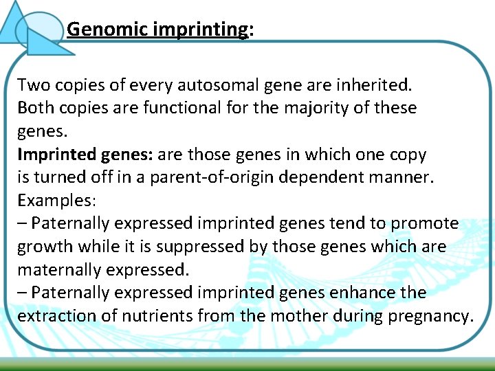 Genomic imprinting: Two copies of every autosomal gene are inherited. Both copies are functional