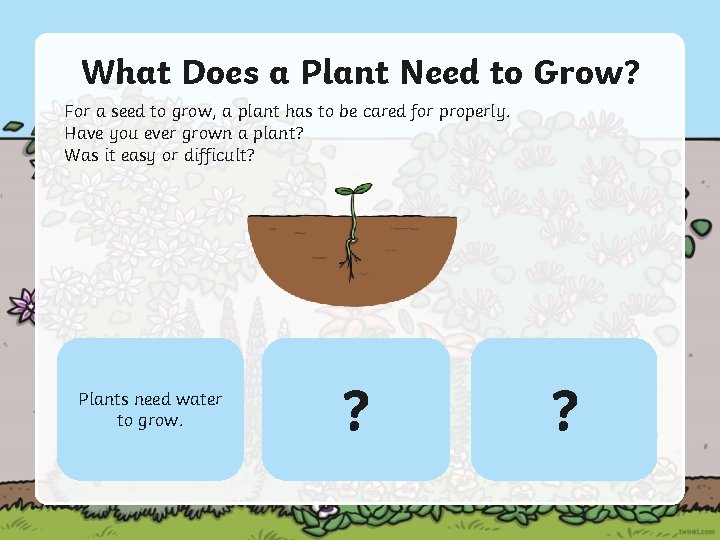 What Does a Plant Need to Grow? For a seed to grow, a plant