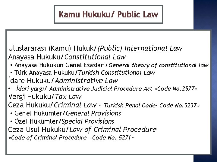 Kamu Hukuku/ Public Law Uluslararası (Kamu) Hukuk/(Public) International Law Anayasa Hukuku/Constitutional Law • Anayasa