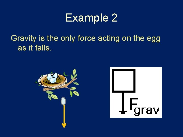 Example 2 Gravity is the only force acting on the egg as it falls.