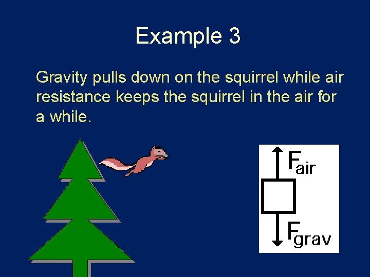 Example 3 Gravity pulls down on the squirrel while air resistance keeps the squirrel