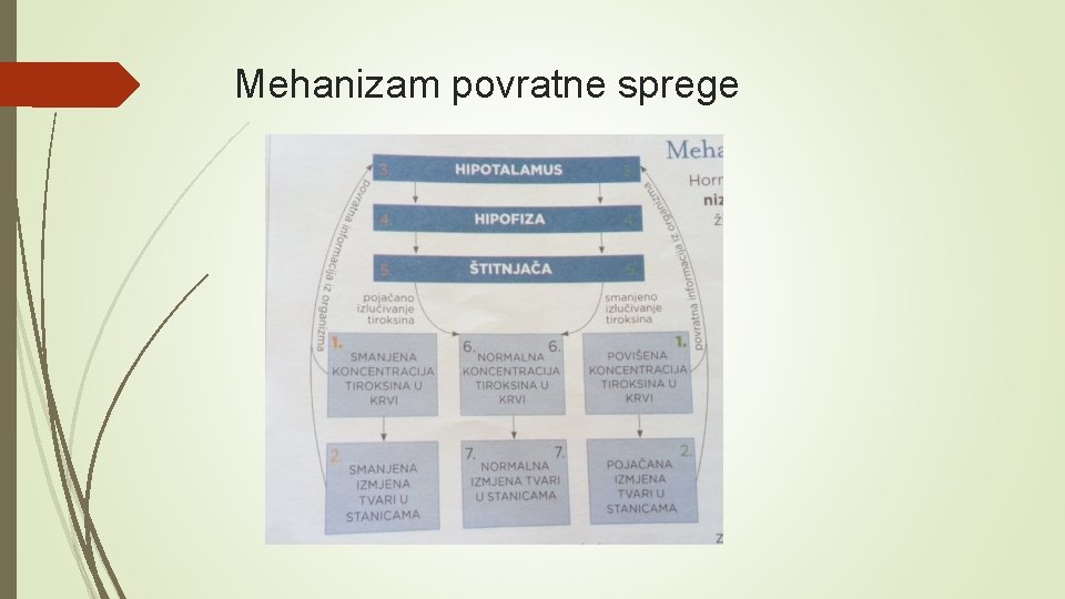 Mehanizam povratne sprege 