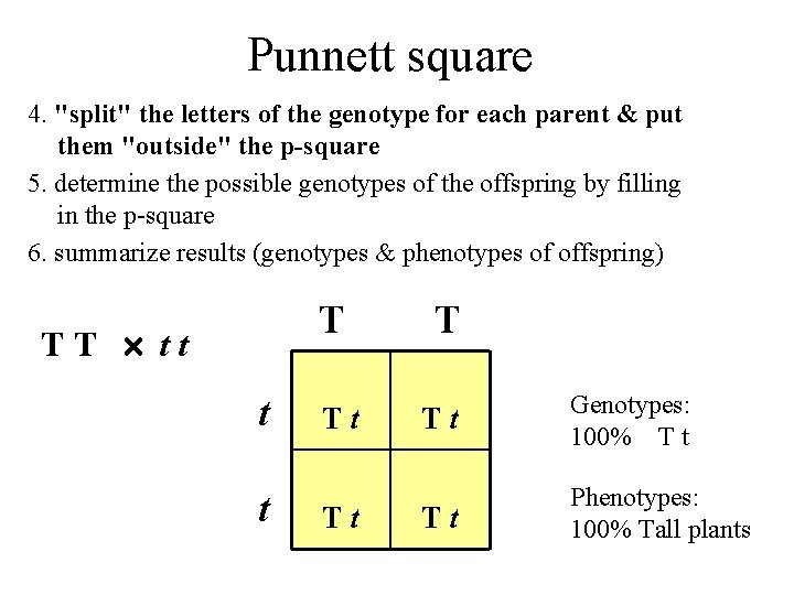 Punnett square 4. "split" the letters of the genotype for each parent & put