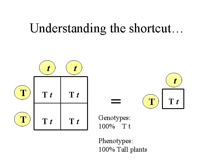 Understanding the shortcut… t t t T Tt Tt = T Tt Tt Genotypes: