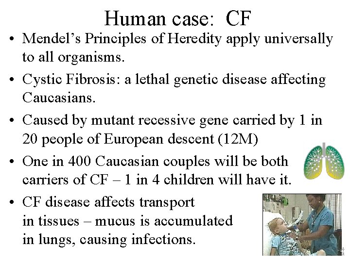 Human case: CF • Mendel’s Principles of Heredity apply universally to all organisms. •
