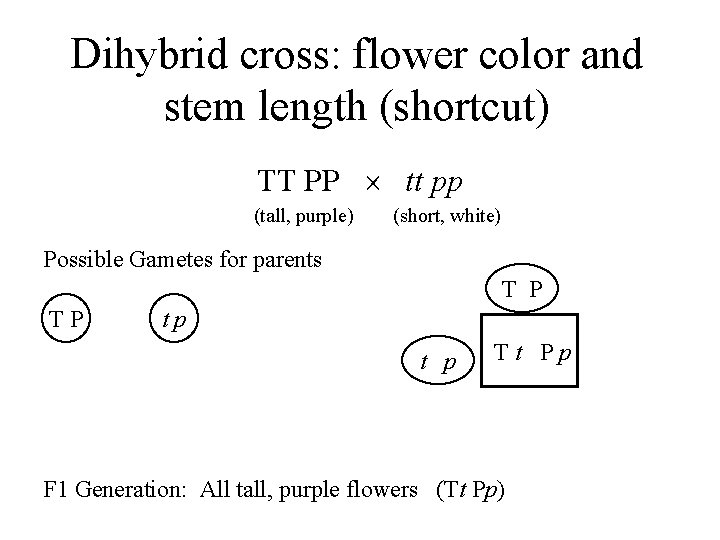 Dihybrid cross: flower color and stem length (shortcut) TT PP tt pp (tall, purple)