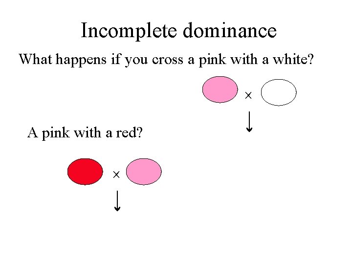 Incomplete dominance What happens if you cross a pink with a white? A pink