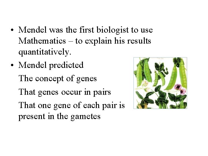  • Mendel was the first biologist to use Mathematics – to explain his