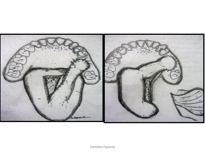 Dentistry Explorer 