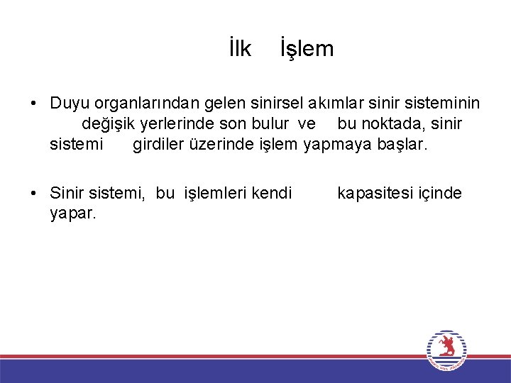 İlk İşlem • Duyu organlarından gelen sinirsel akımlar sinir sisteminin değişik yerlerinde son bulur